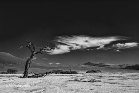 Namibian landscapes (58)