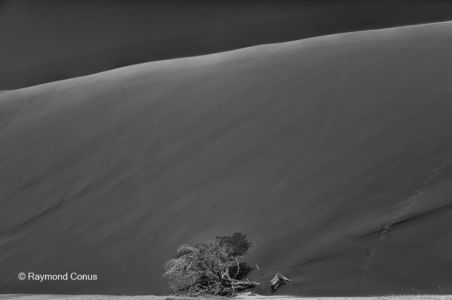 Namibian landscapes (70)