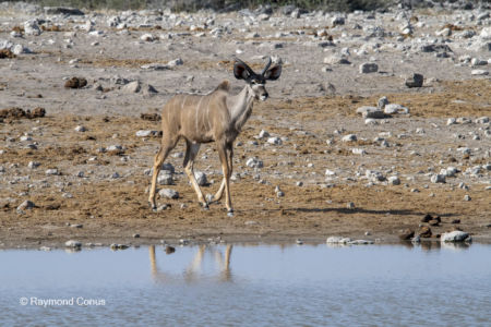 Namibie (21)