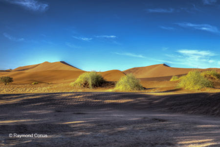 Namibie (238)
