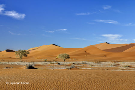 Namibie (239)