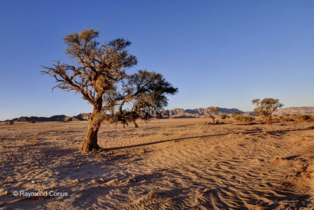 Namibie (307)