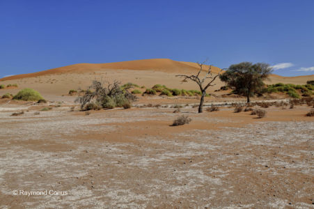 Namibie (328)