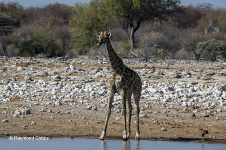 Namibie (7)