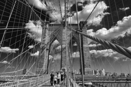 New York (10)