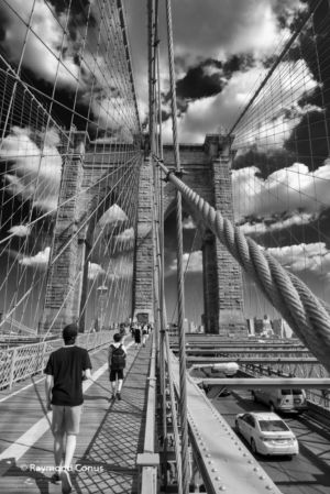 New York (11)