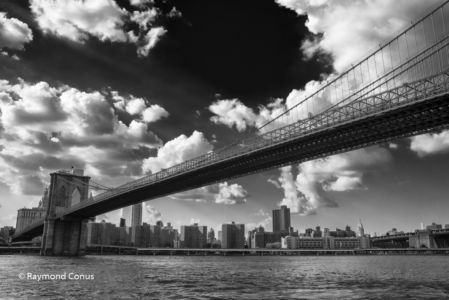 New York (15)