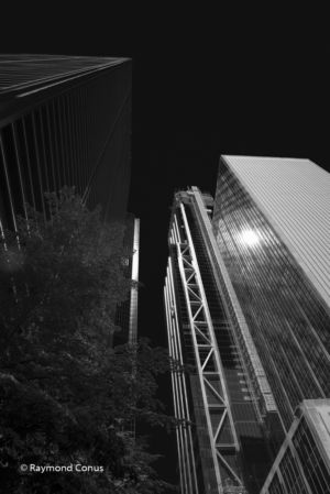 New York (1)