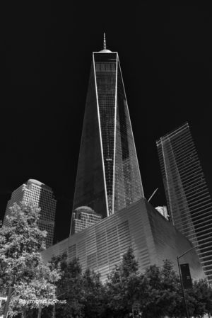 New York (2)