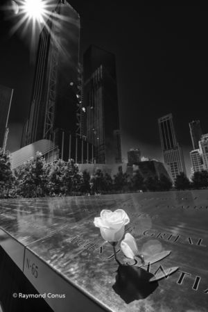 New York (3)