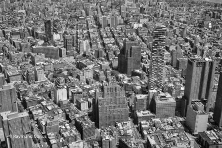 New York (5)