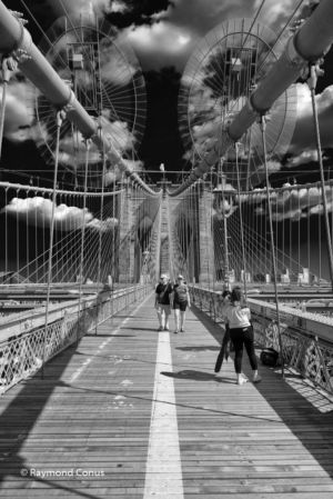 New York (8)