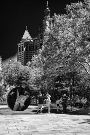 New York SP (22)