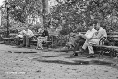New York SP (41)