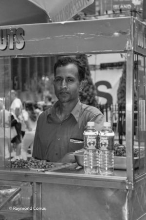 New York SP (47)