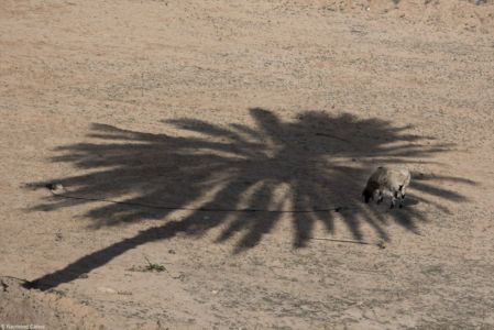 Ombres