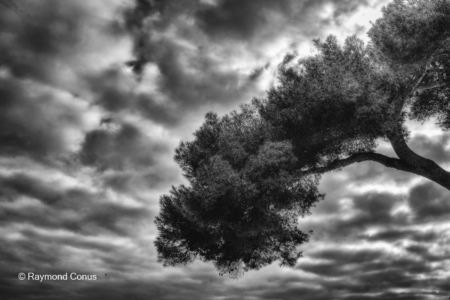 Paysages français (45)