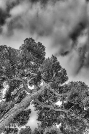 Paysages français (47)