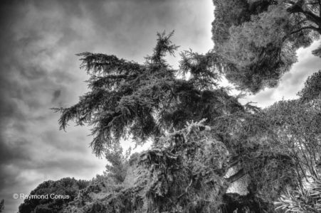 Paysages français (55)