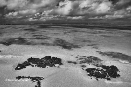 Paysages mauriciens (16)