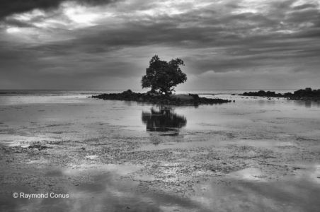 Paysages mauriciens (5)