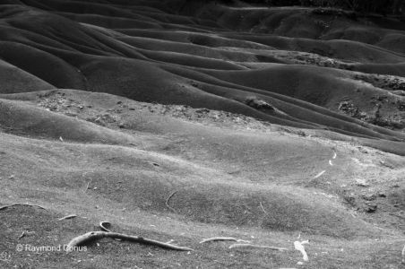 Paysages mauriciens (7)