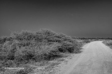 Paysages namibiens (14)