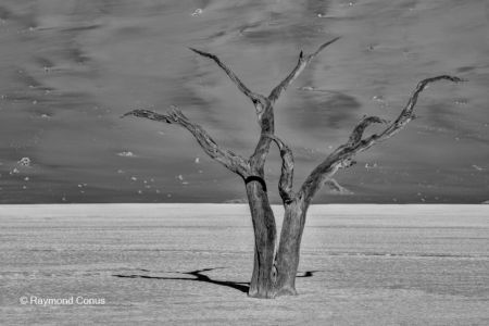 Paysages namibiens (53)