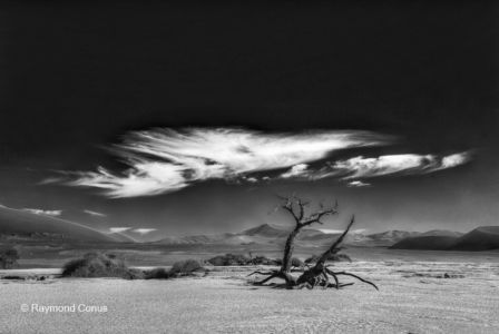 Paysages namibiens (57)