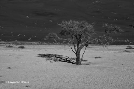 Paysages namibiens (62)