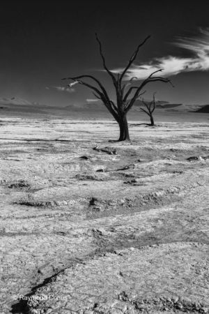 Paysages namibiens (65)