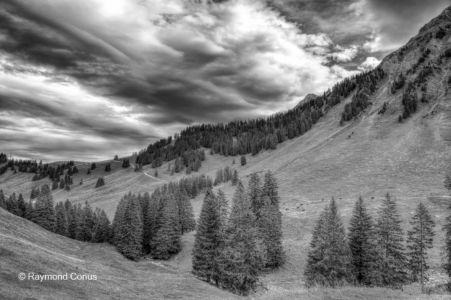 Paysages suisses (27)