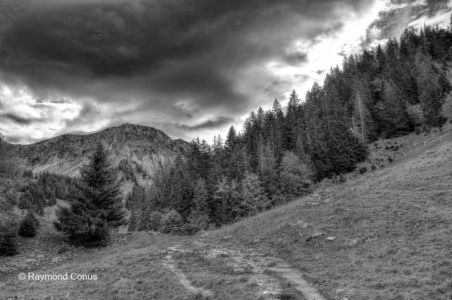 Paysages suisses (30)