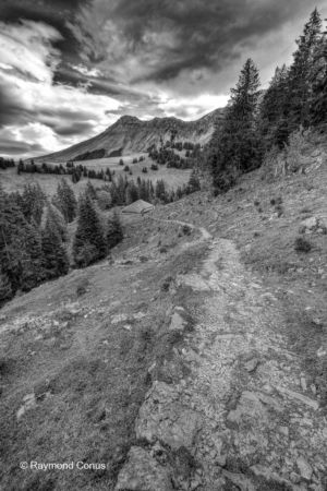 Paysages suisses (34)