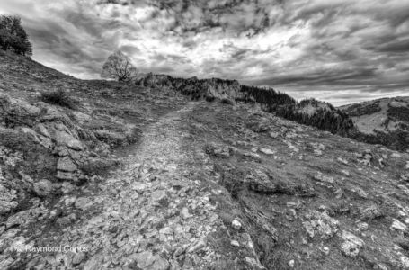 Paysages suisses (35)