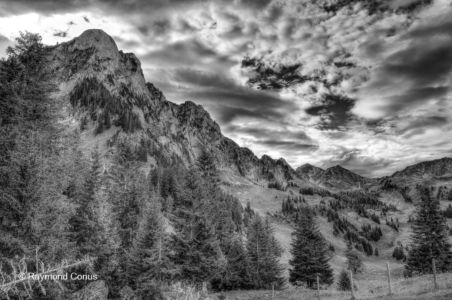 Paysages suisses (38)