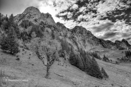 Paysages suisses (39)
