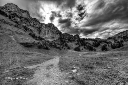 Paysages suisses (40)