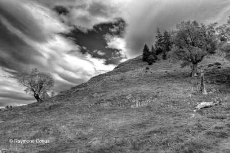 Paysages suisses (41)
