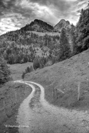 Paysages suisses (49)