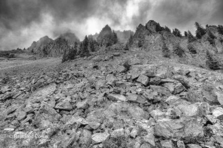 Paysages suisses (74)
