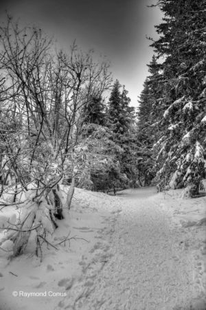 Paysages suisses (82)