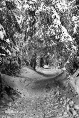 Paysages suisses (83)