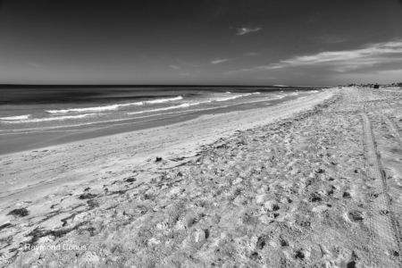 Paysages tunisiens (15)