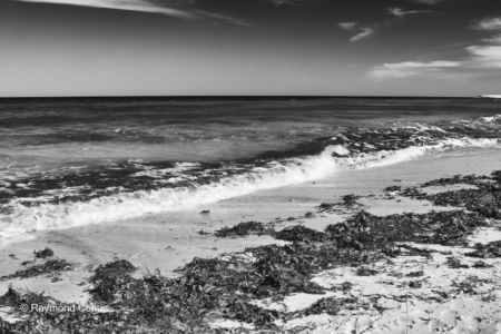 Paysages tunisiens (16)
