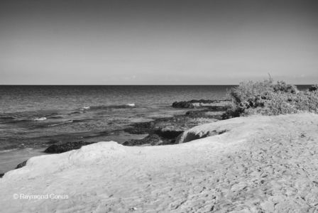 Paysages tunisiens (1)