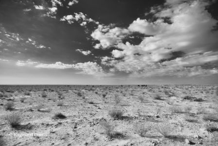 Paysages tunisiens (2)