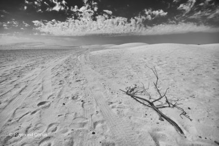 Paysages tunisiens (4)