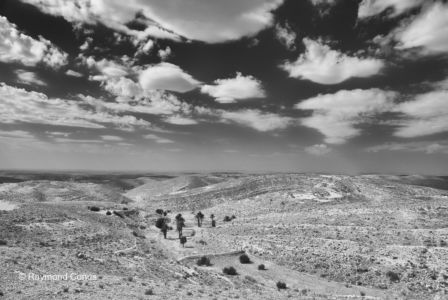 Paysages tunisiens (5)