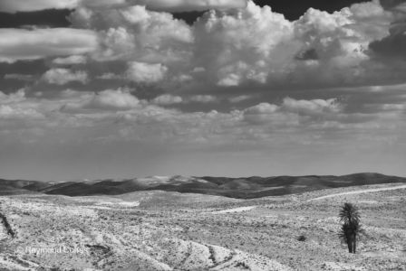 Paysages tunisiens (6)